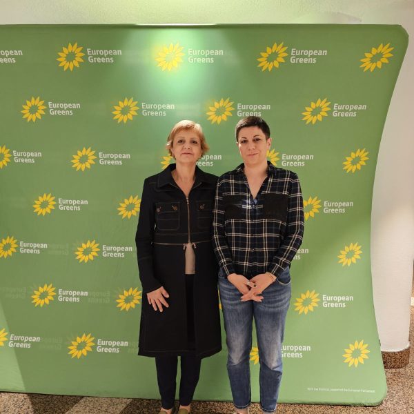 Stojković: Vučić nije deo rešenja u evropskoj zagonetki